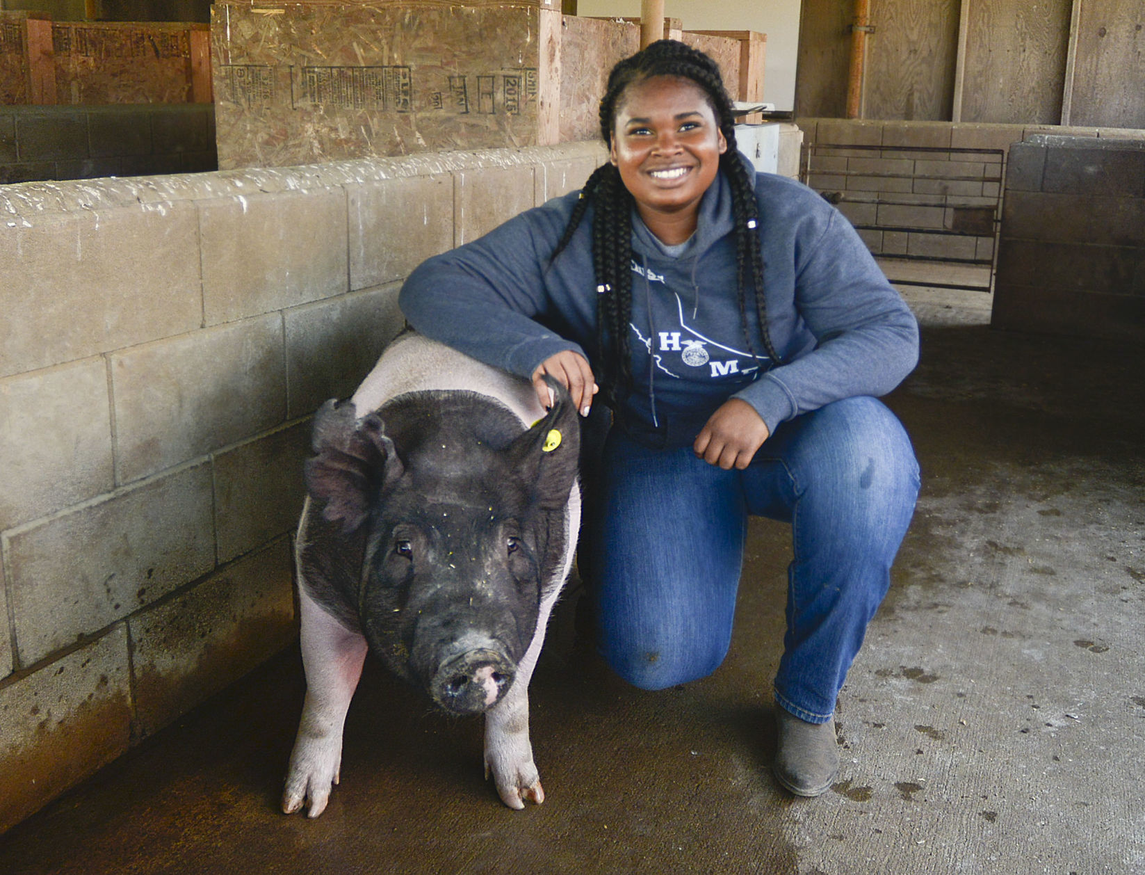 080918 Pig problem 05.jpg